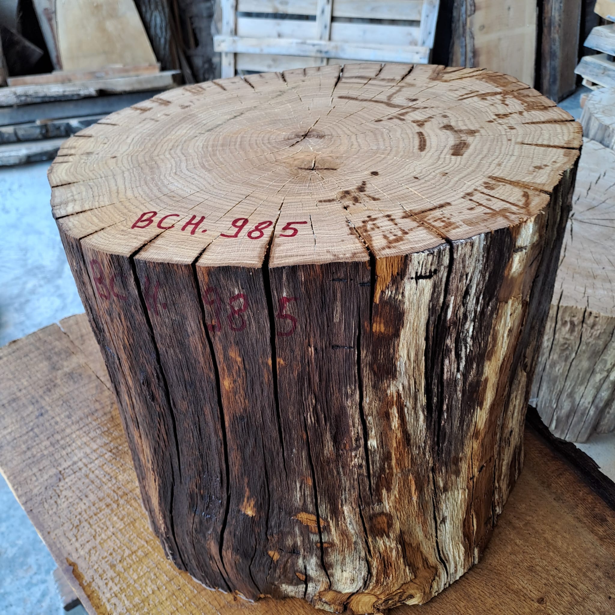 bloc chêne BCH 985