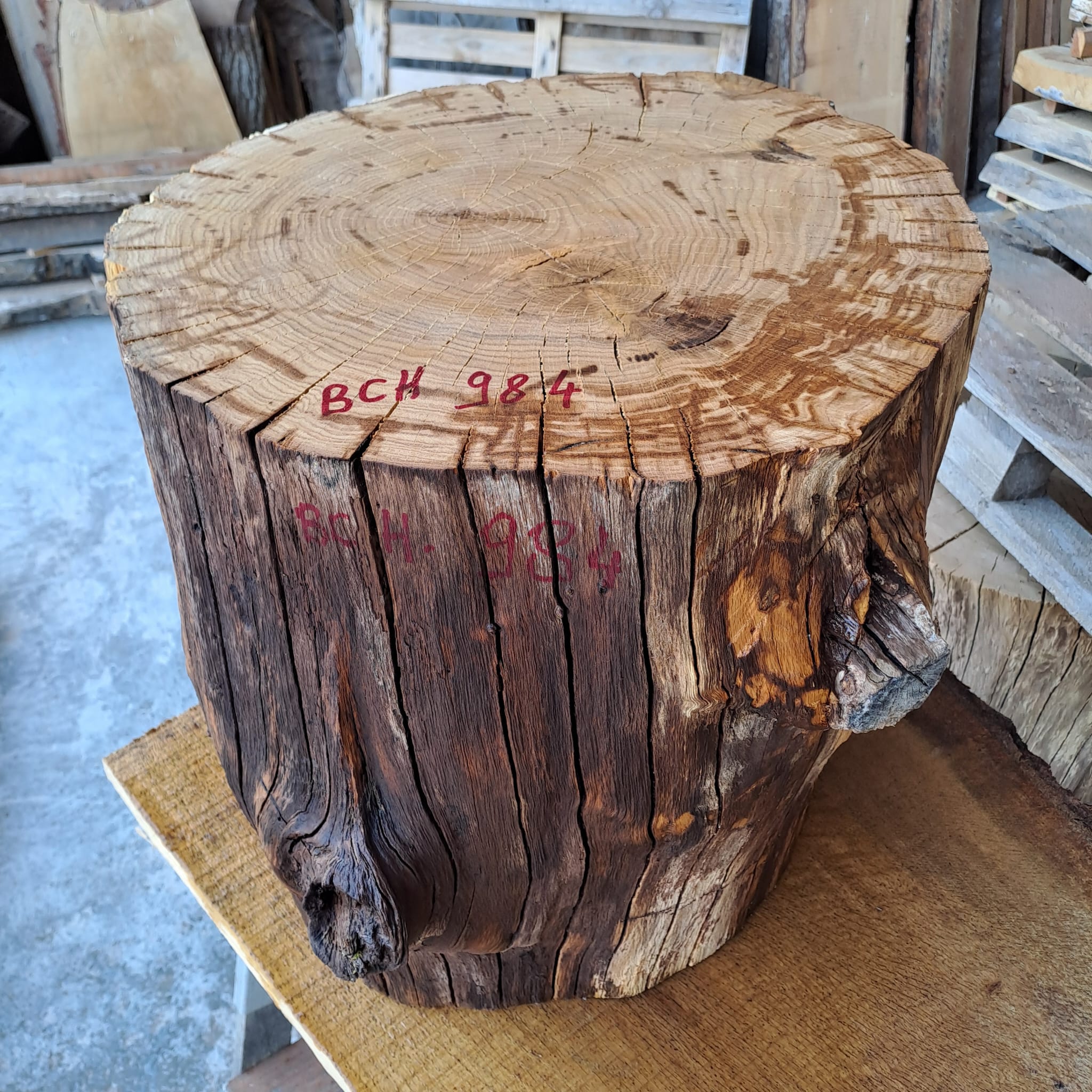 bloc chêne BCH 984