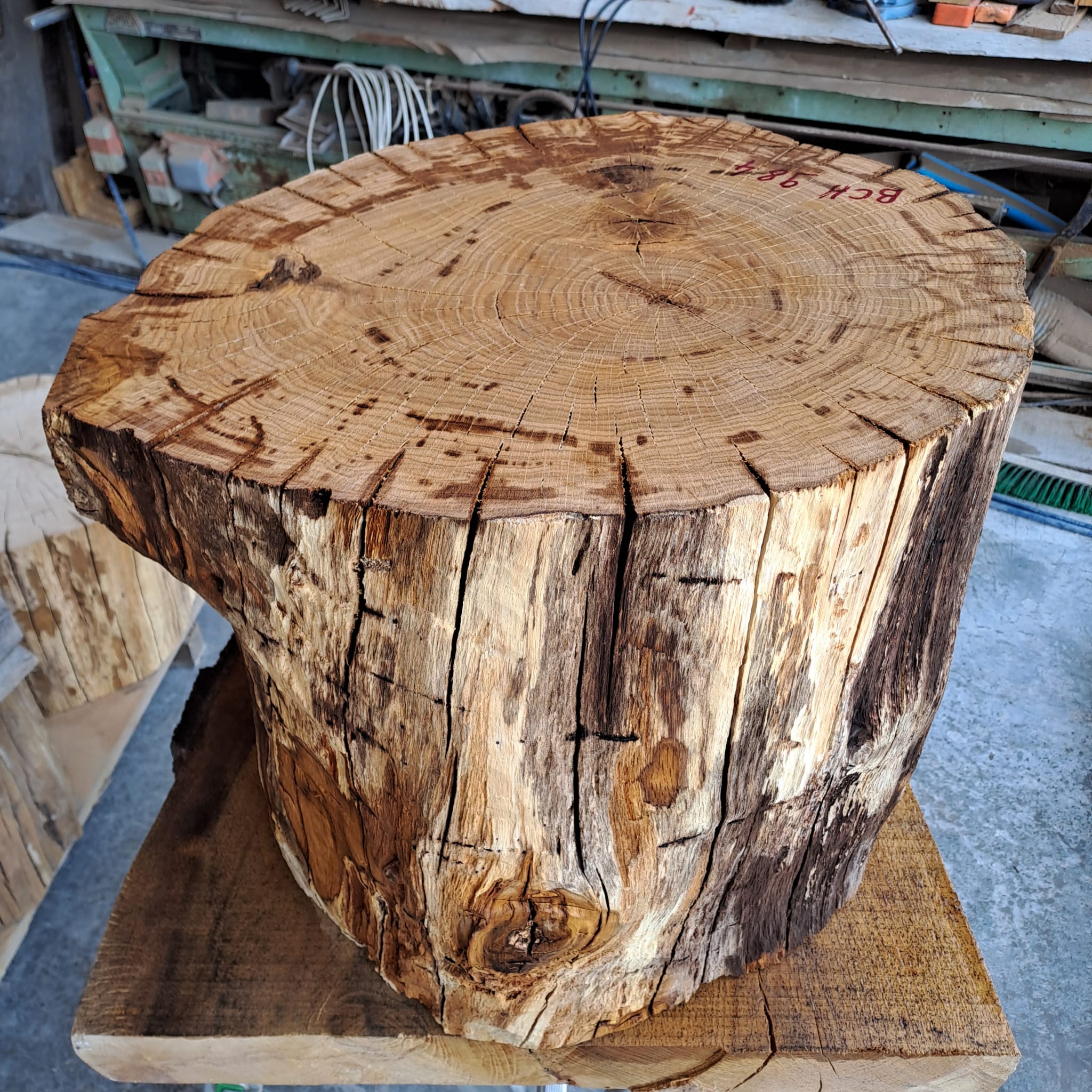 bloc chêne BCH984