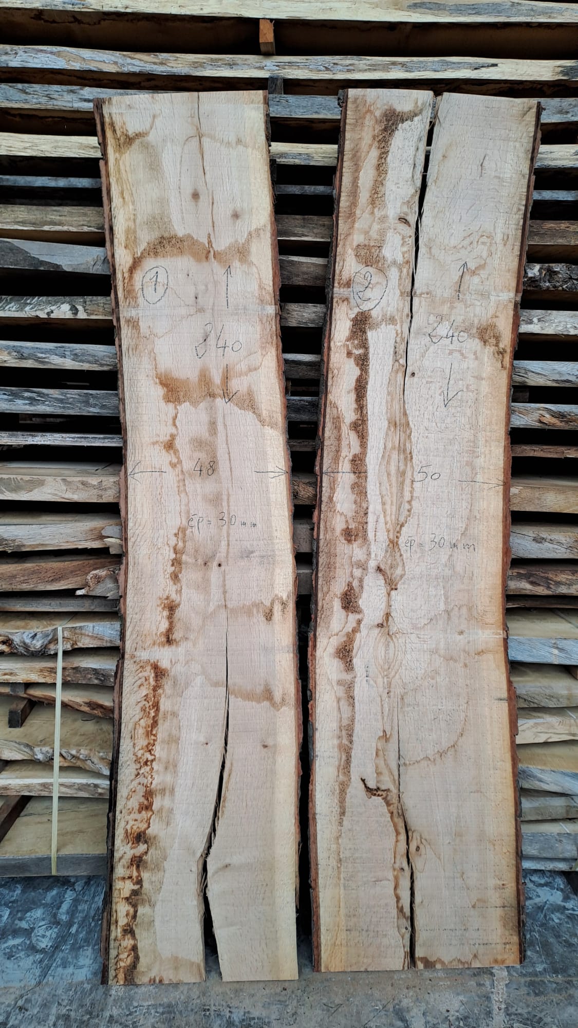2 plateaux chêne 2 PC