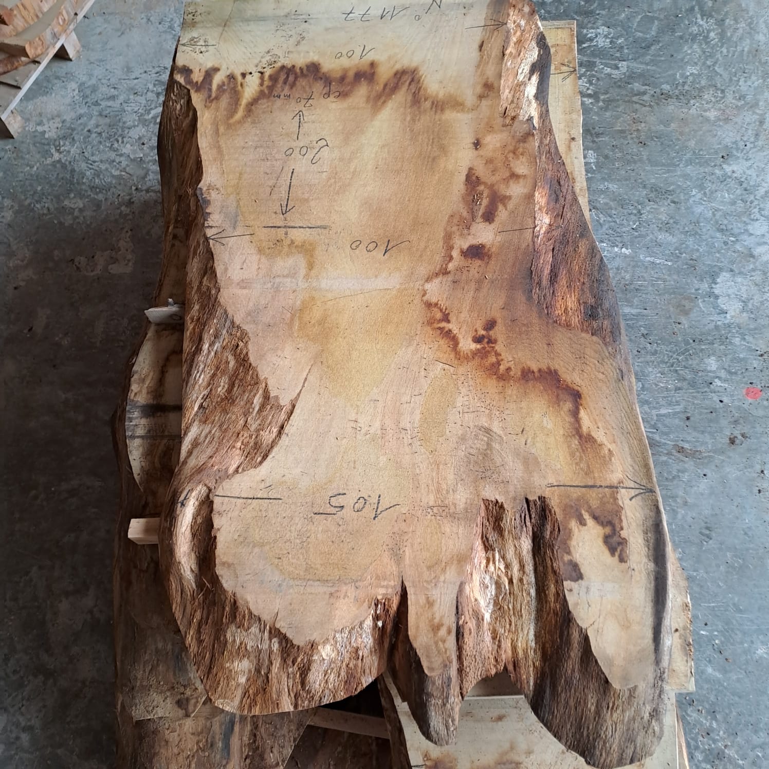 plateau bois burt chêne CH1177