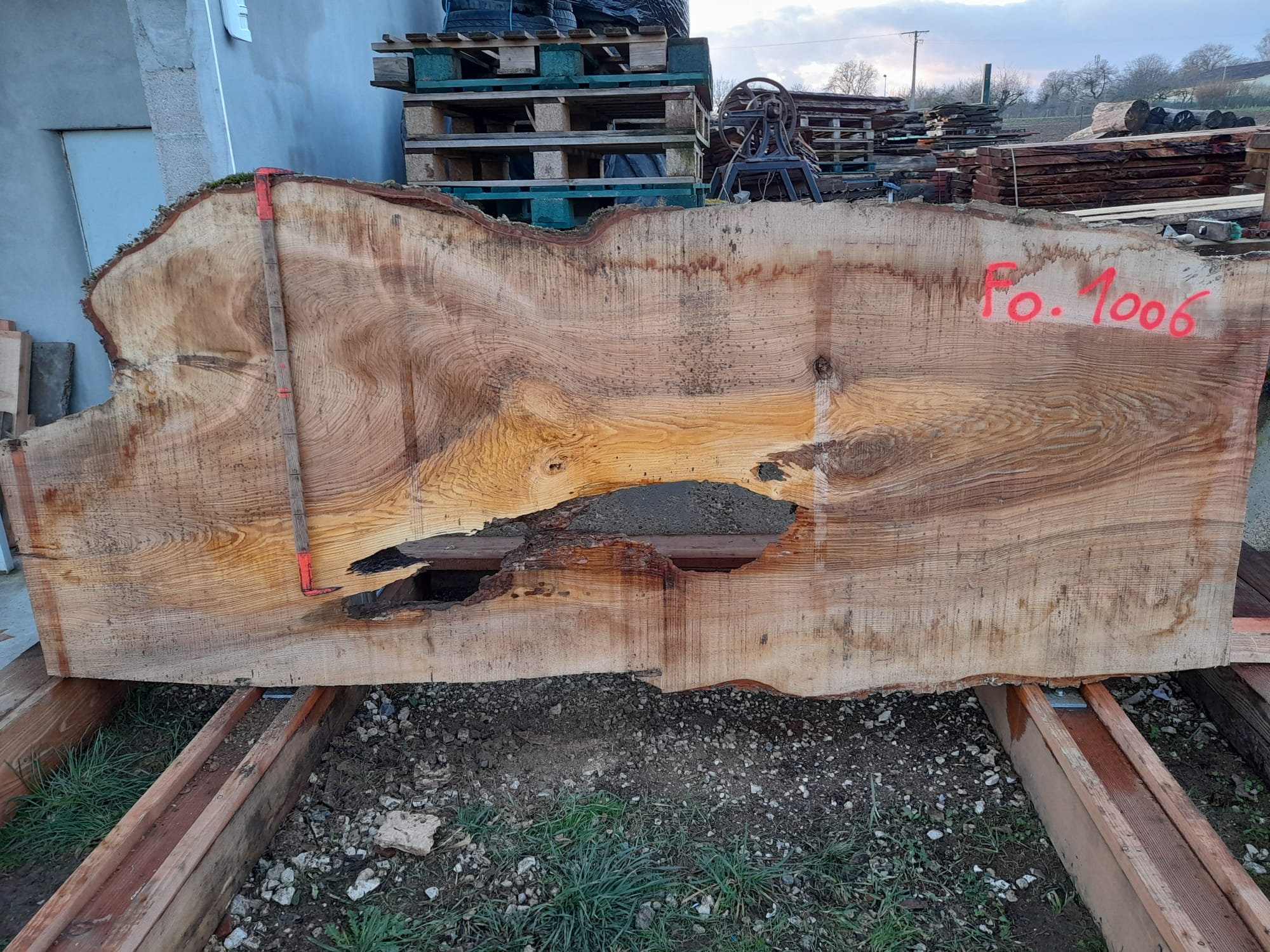plateau frêne olivier fo1006