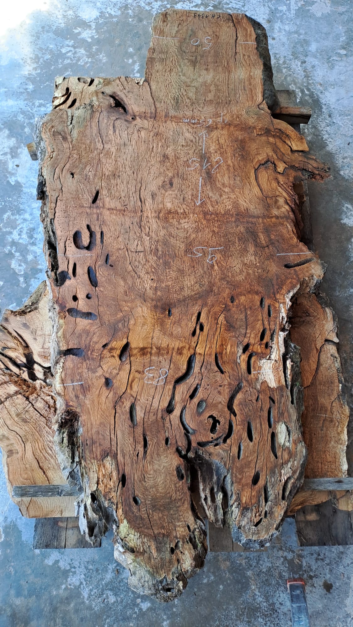 plateau chêne CH 1343