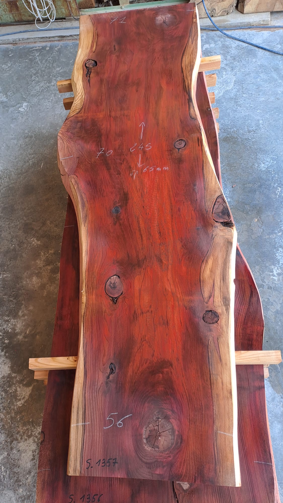 plateau sequoia S1357