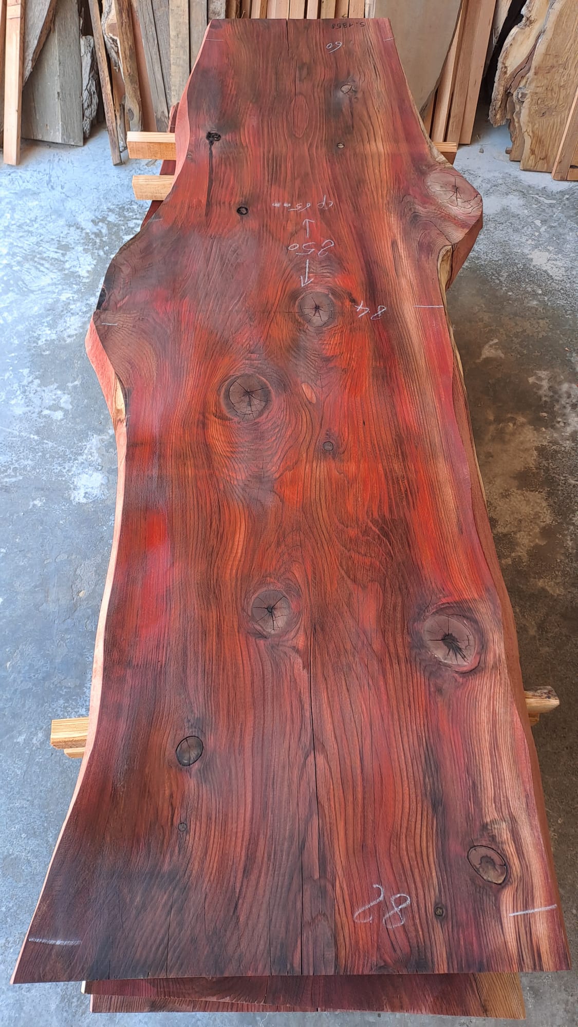 plateau sequoia S 1358