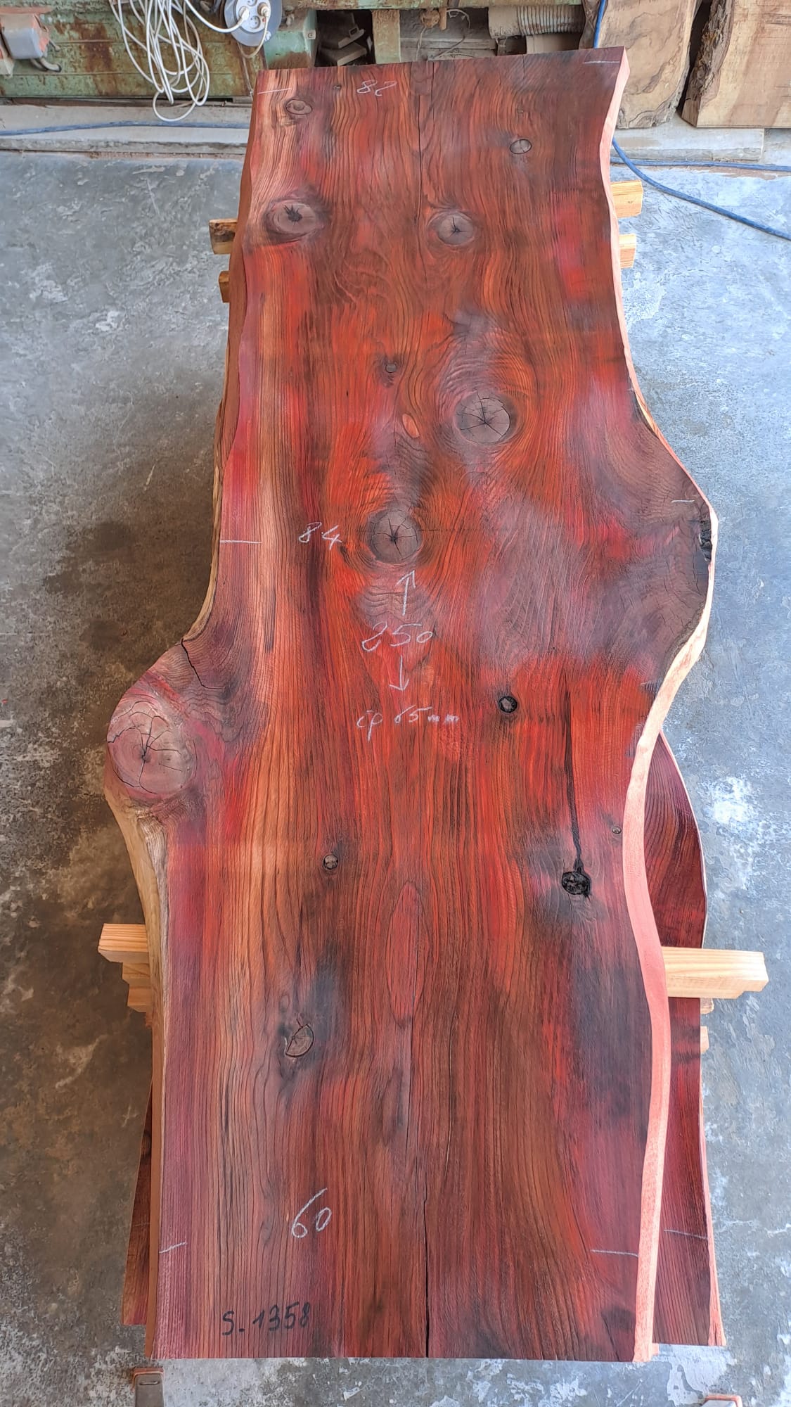plateau sequoia S1358