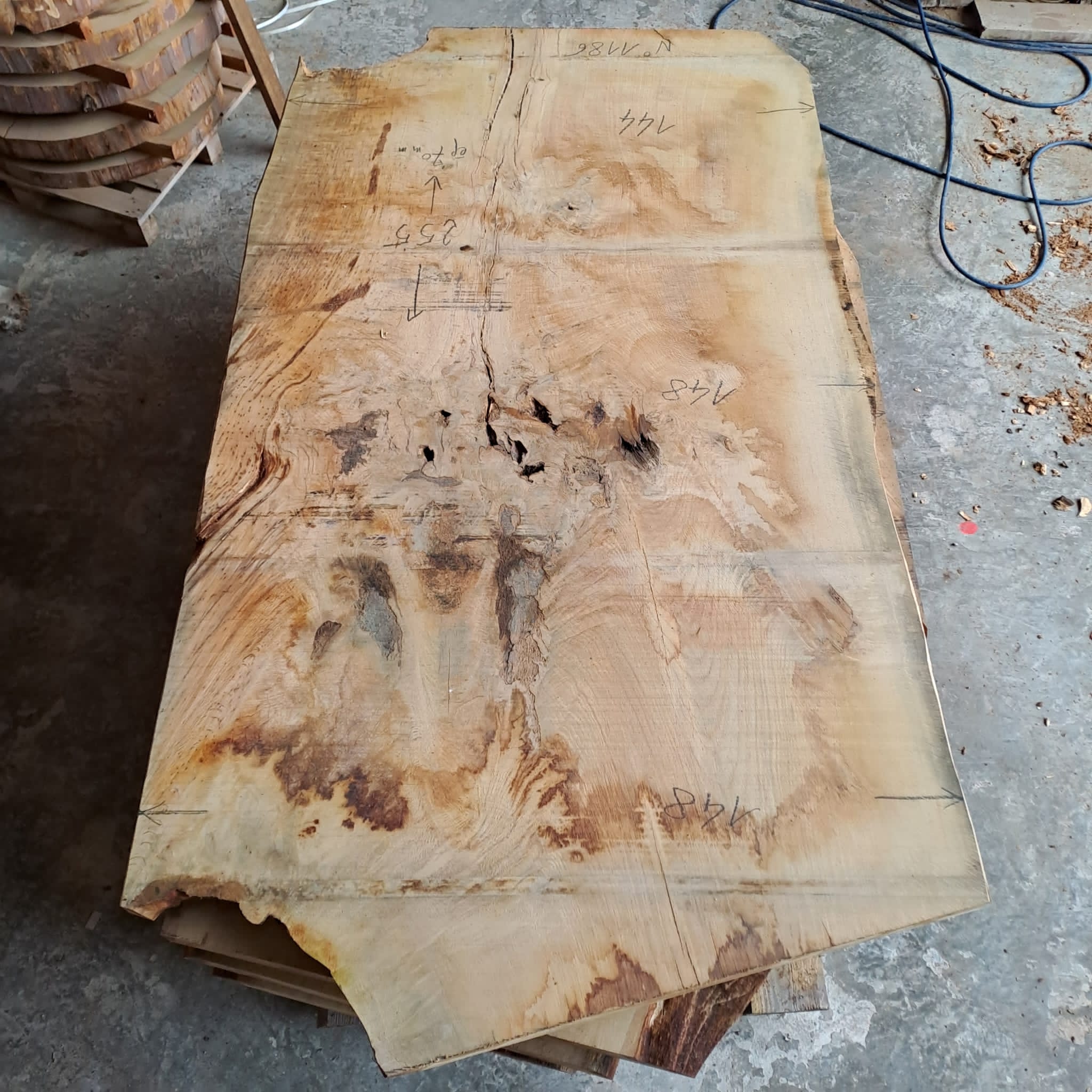 plateau bois chene CH 1186