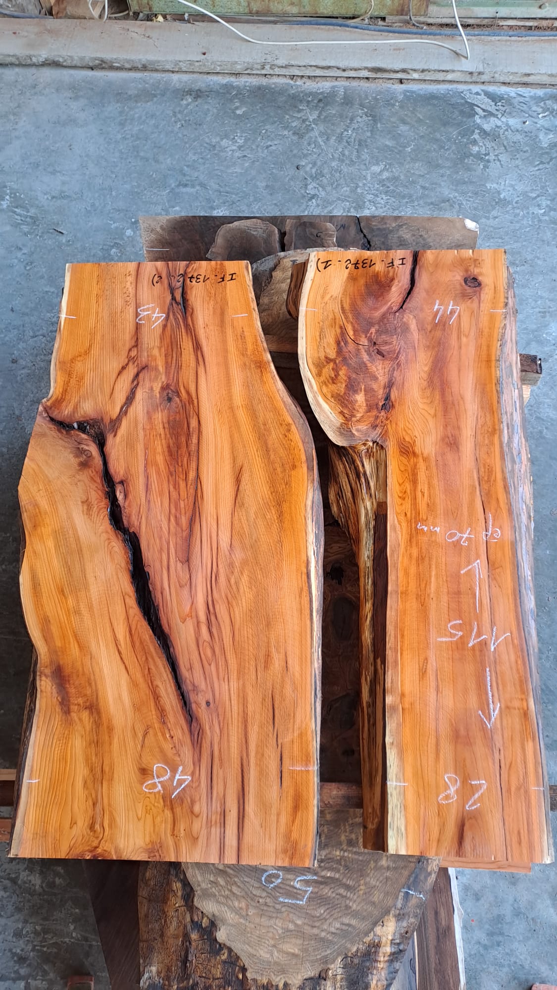 2 plateaux if IF 1372