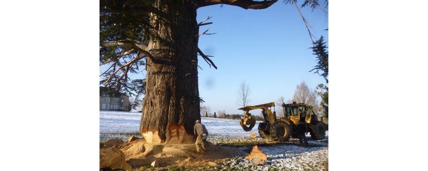 sans titre 1370 x 550 px