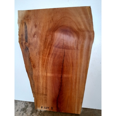 P465B plateau platane live edge