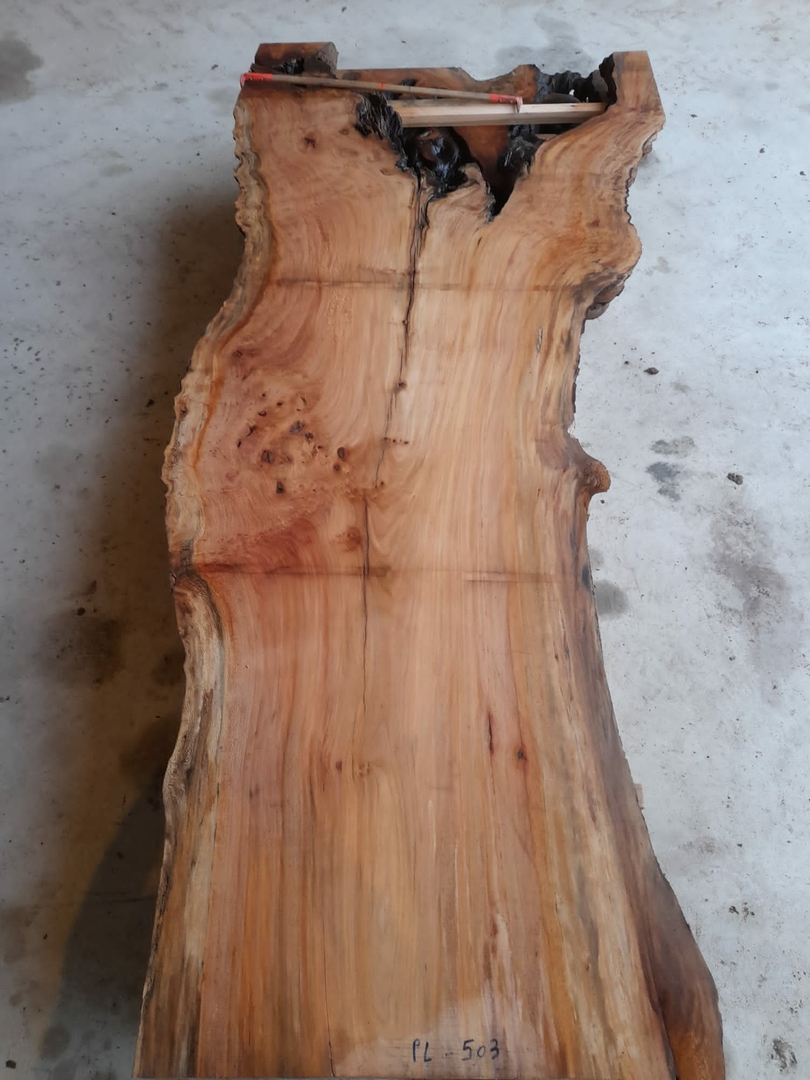Bois De Chauffage Platane