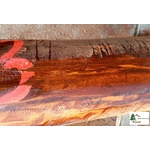 bois amourette a1_111703