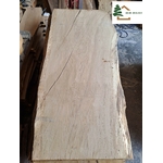 plateau chene live edge ch582