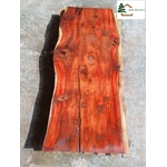 plateau séquoia live edge s 593