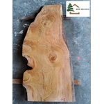 plateau cèdre live edge c 609