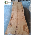 plateau chene live edge ch647