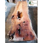 plateau platane live edge PL513