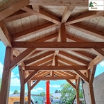 tinychalet Nevelodge 2 structure mélèze