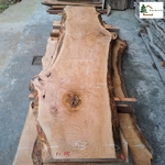 plateau frene olivier fo882