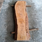 plateau frêne live edge FB 914
