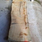 plateau bois brut chêne CH1134