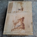 plateau bois brut chêne CH 1243