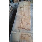 plateau bois brut chêne CH 1283