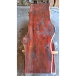 plateau sequoia S1358