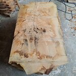 plateau bois chene CH 1186