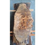 plateau frene olivier FO1371