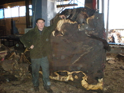 Photo 006