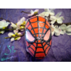 Mr Spidy-logo