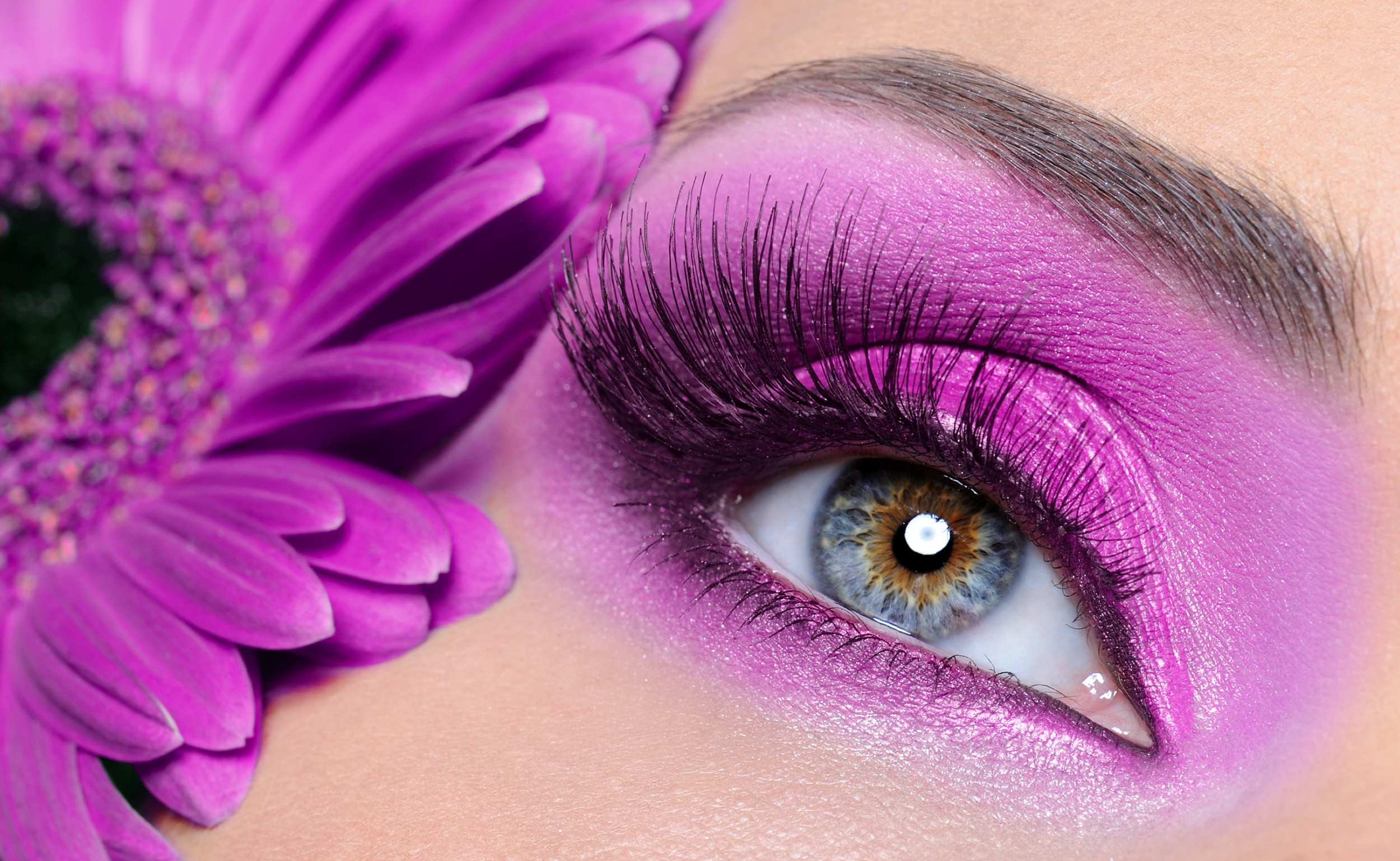 woman eye with purple make up and long false eyelashes gerber flower