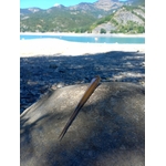 IMG-20221030-WA0016
