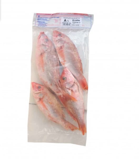 Vivaneaux entier écaille Guyane 1kg