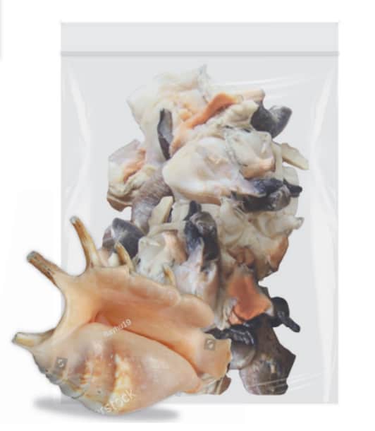 Lambis 500g