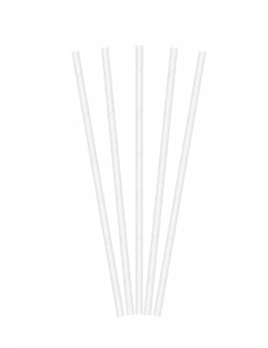 20 Pailles en Carton blanc 19,5cm