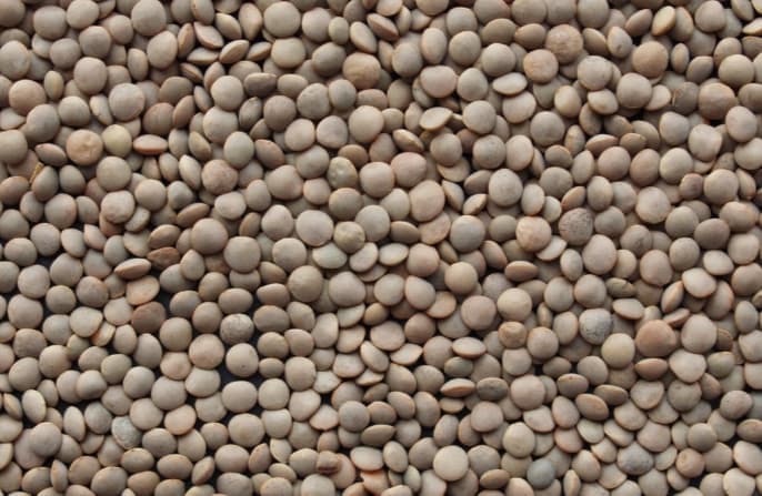Lentilles Célimène 454g