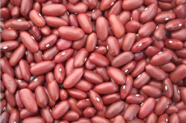 Haricots rosés Célimène 454g