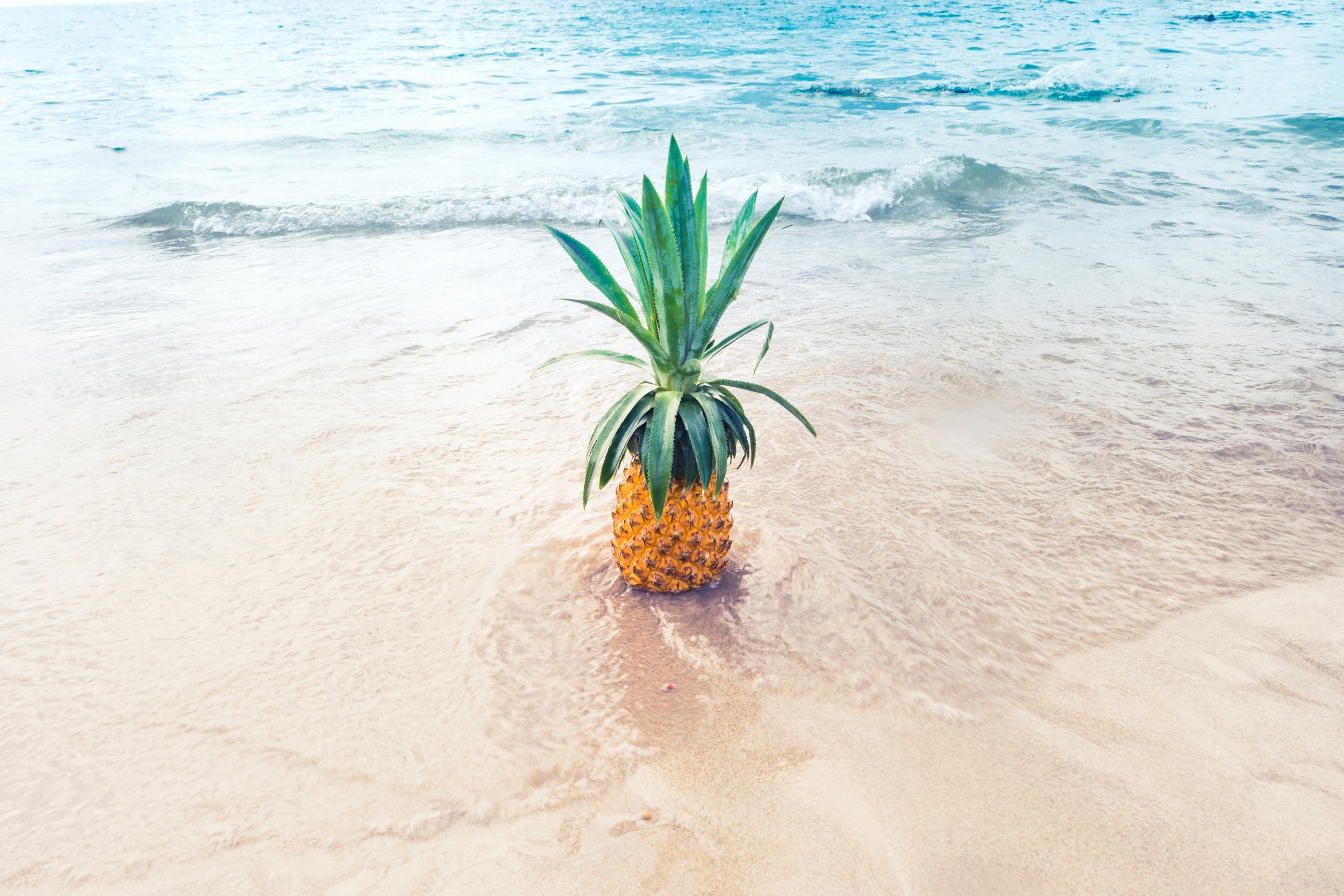 evi radauscher u d5nwmmttm unsplash