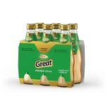 Boisson Great Ginger bouteille 6x25cl