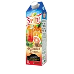 Jus Concentré Planteur Sans alcool Spid 1l