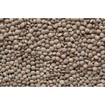 Lentilles Célimène 454g