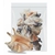 Lambis 500g