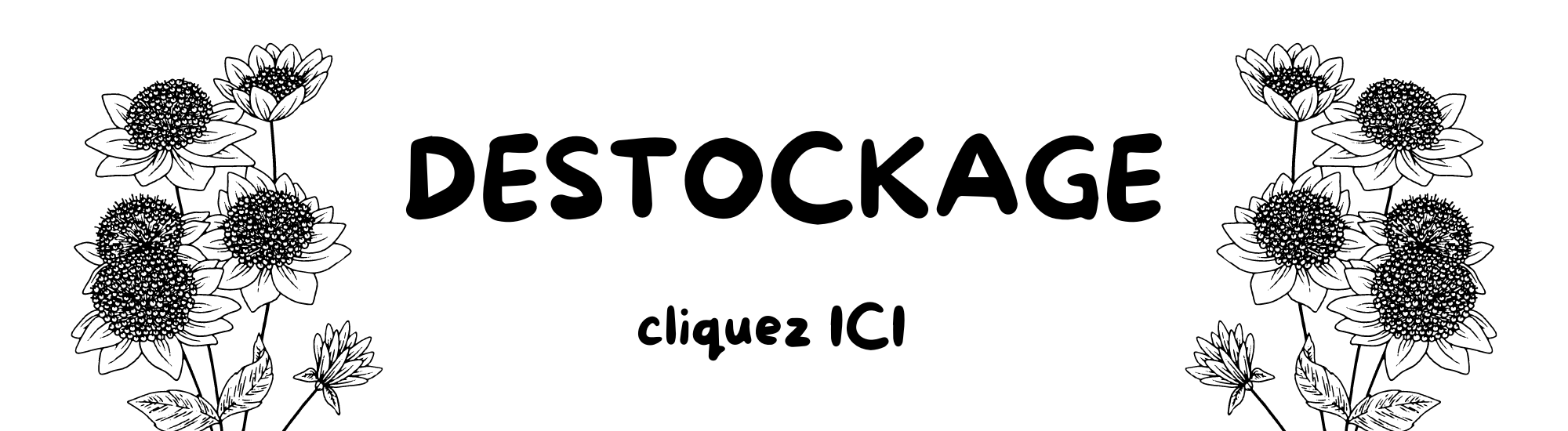 destockage 2bis