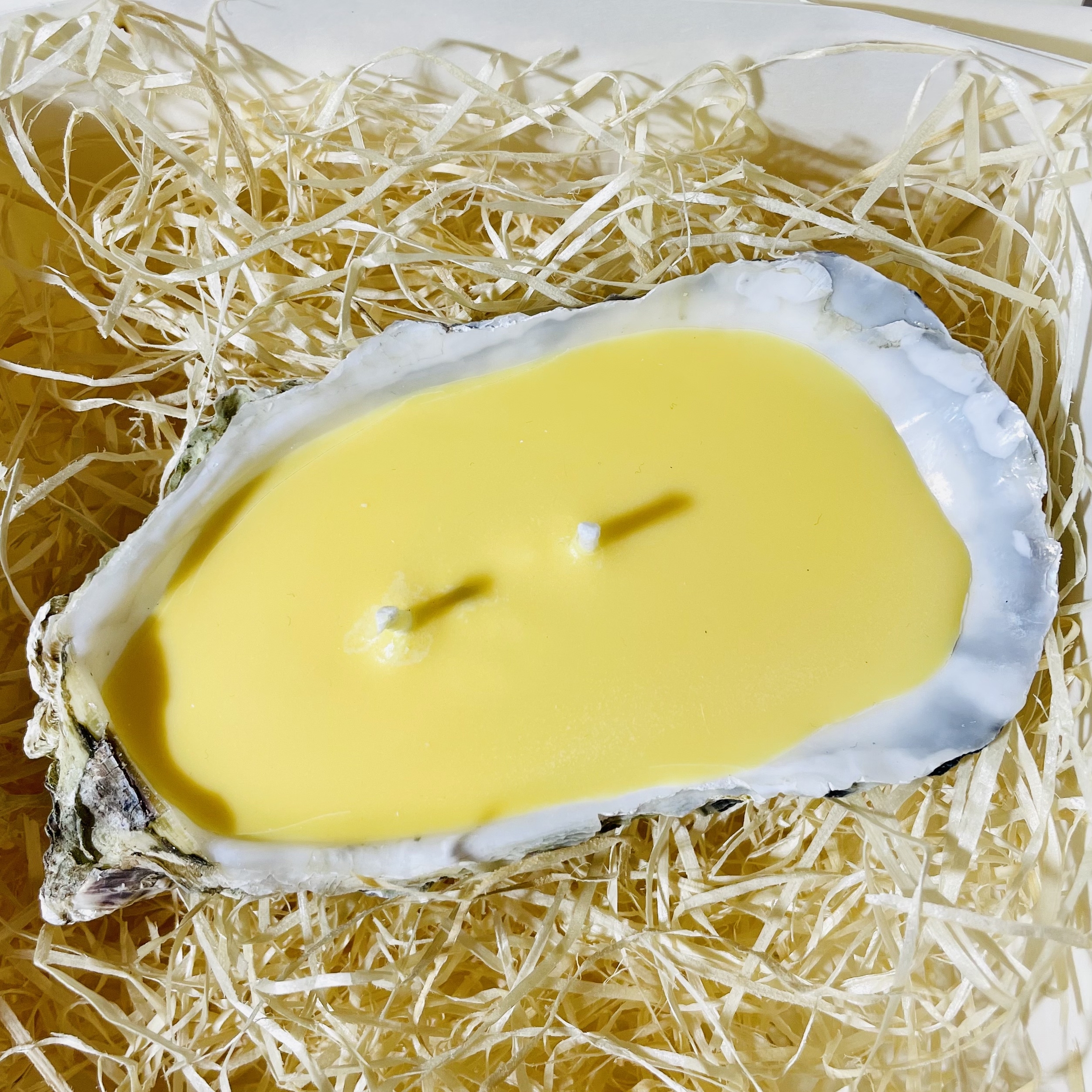 BOUGIE HUITRE CITRONNELLE DESSUS