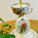 OVALE VERVEINE CITRONNÉE MEC