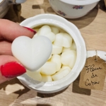 FLEUR DE COTON 1