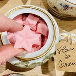 FLEUR DE CERISIER ZOOM