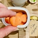 MELON ET PASTEQUE ZOOM